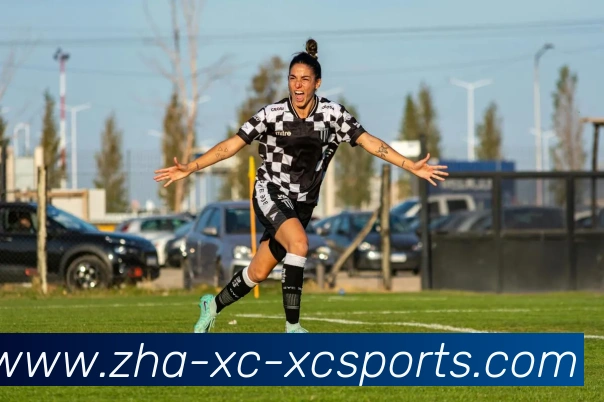 杏彩体育APP 封面图