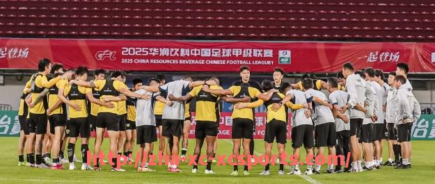 杏彩体育-意甲球队连续失球纪录及防守问题探讨 杏彩体育-意甲球队连续失球纪录及防守问题探讨